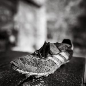 shoe